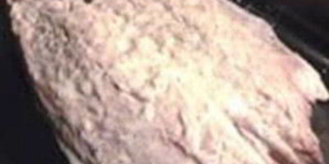 Рецепт шницеля со скумбрией