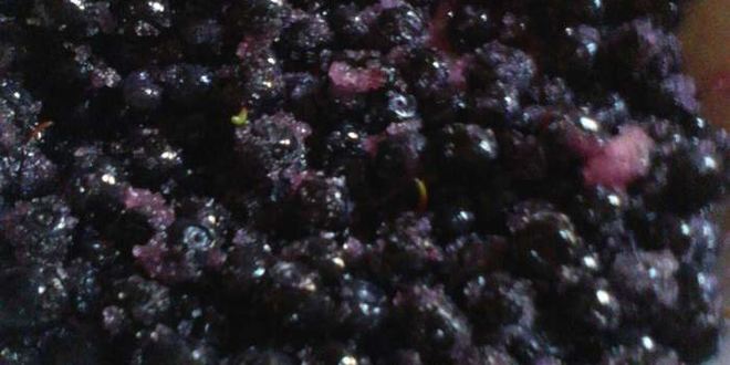 Рецепт вареников с черникой