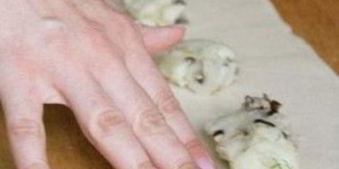 Рецепт вареников с картошкой и грибами