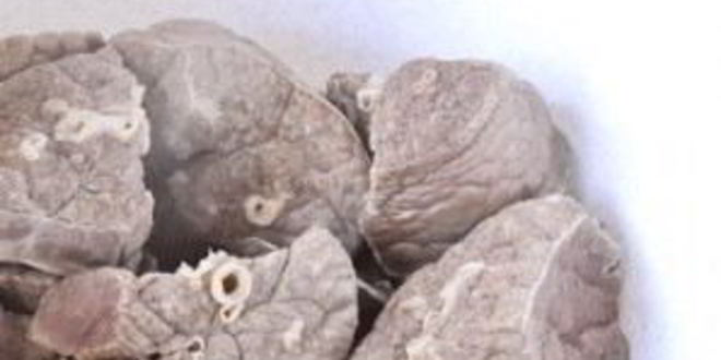 Рецепт вареников с ливером