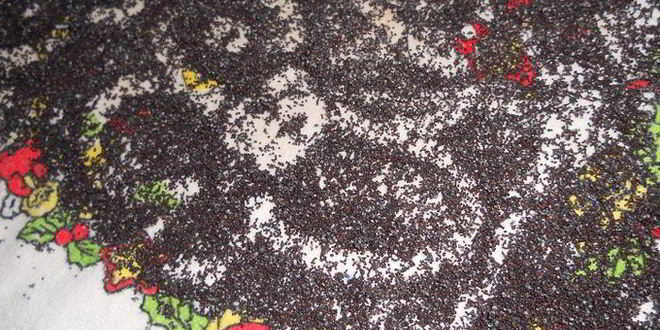 Рецепт вкуснейших вареников с маком