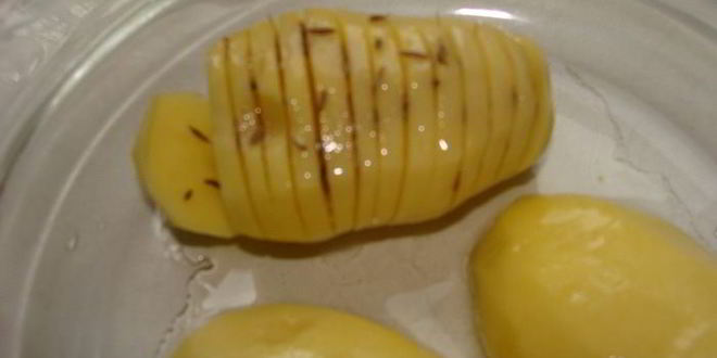 Рецепт жаркого из грибов с паприкой и сыром джюгас