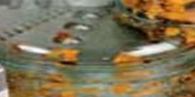 Рецепт куриных зраз с сухофруктами под апельсиновым соусом