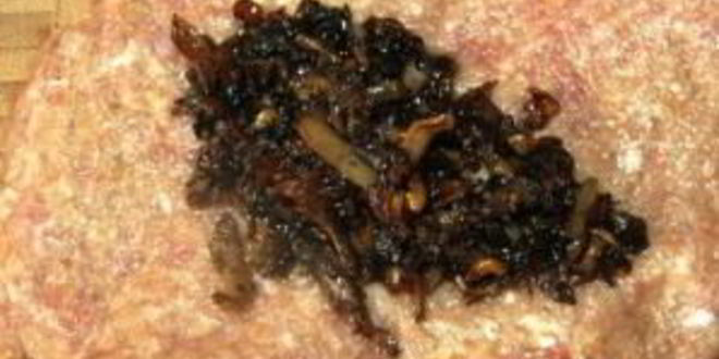 Рецепт свиных зраз