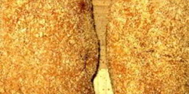 Рецепт свиных зраз