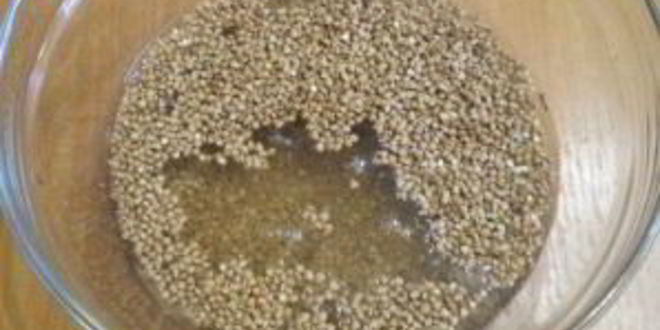 Рецепт гречки под соусом