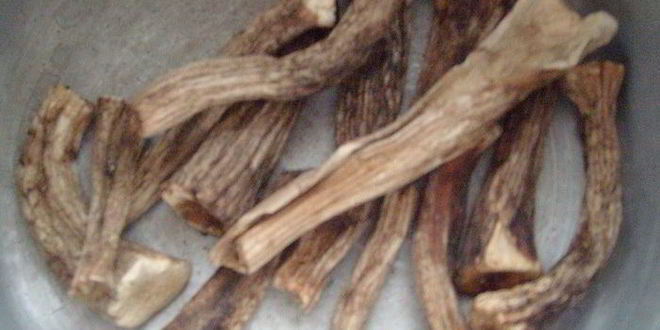 Рецепт поленты, жаренной с грибами и соусом дор блю