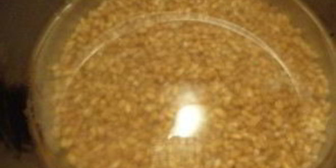 Рецепт кутьи с яблоками