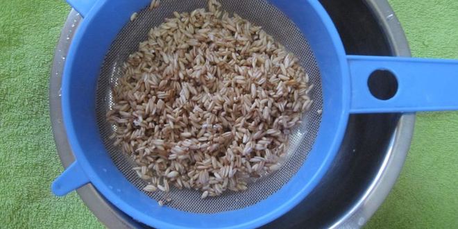 Рецепт овсяной каши из цельного зерна