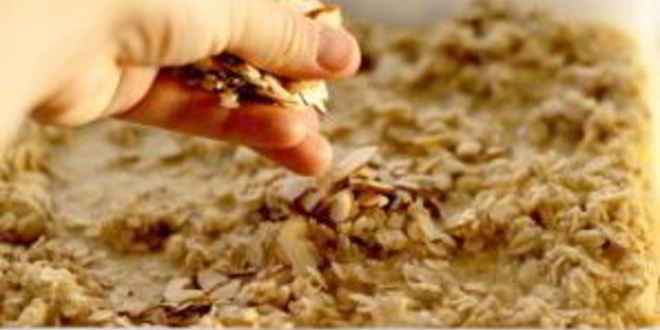 Рецепт запеченной овсянки с фруктами и орехами