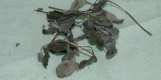 Рецепт чая, ароматного и вкусный