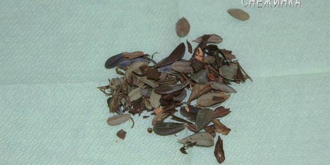 Рецепт чая, ароматного и вкусный