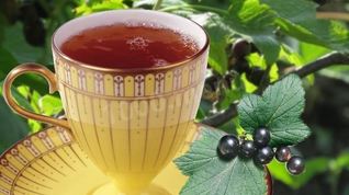 Рецепт Чая из листьев смородины