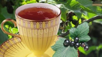 Рецепт Чая из листьев смородины