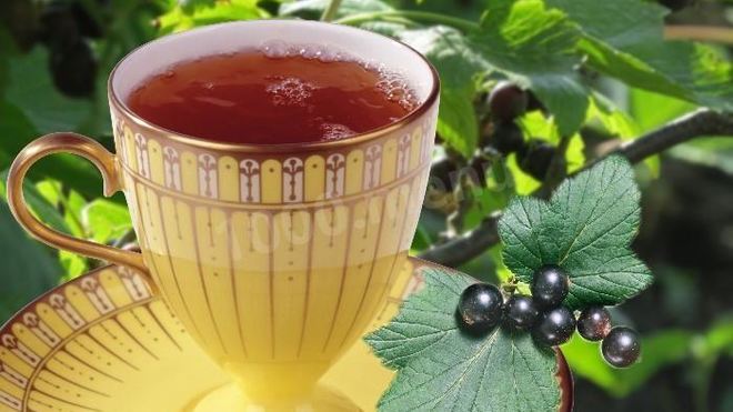 Рецепт чая из листьев смородины