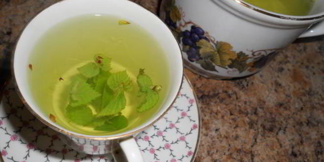 Рецепт чая с березовыми листочками