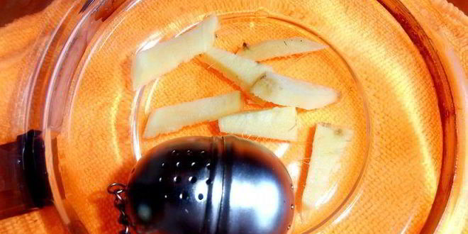 Рецепт имбирного чая с клубникой