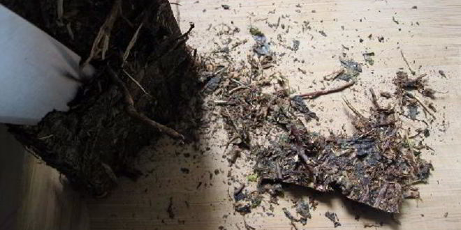 Рецепт калмыкского чая