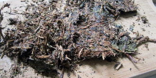 Рецепт калмыкского чая