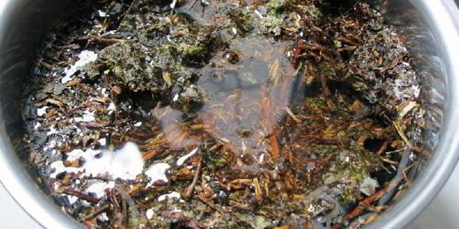 Рецепт калмыкского чая