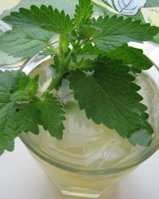 Рецепт холодного чая