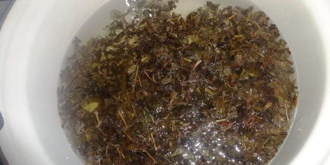 Рецепт холодного зеленого чая с ромашкой и мелиссой