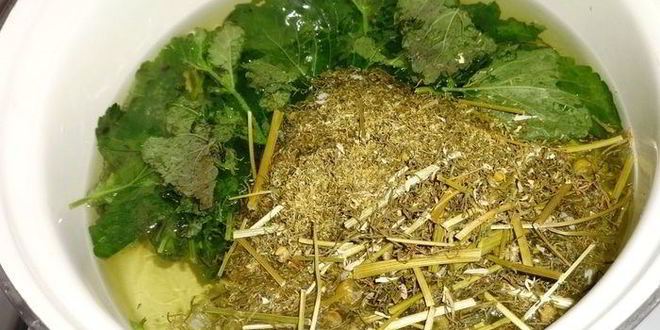 Рецепт холодного зеленого чая с ромашкой и мелиссой