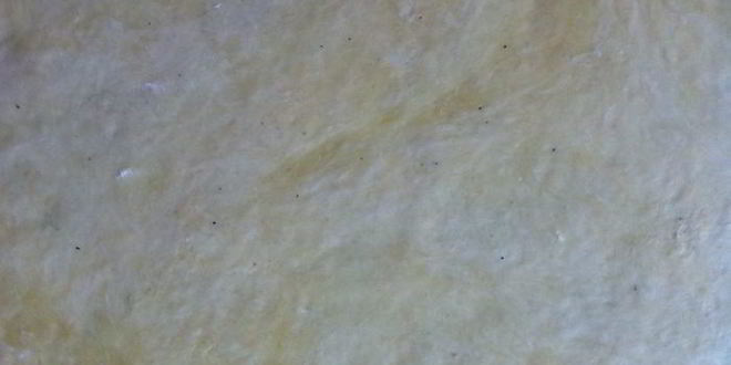 Рецепт киша с шампиньонами