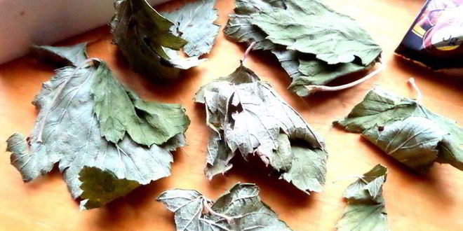 Рецепт согревающего чая со специями