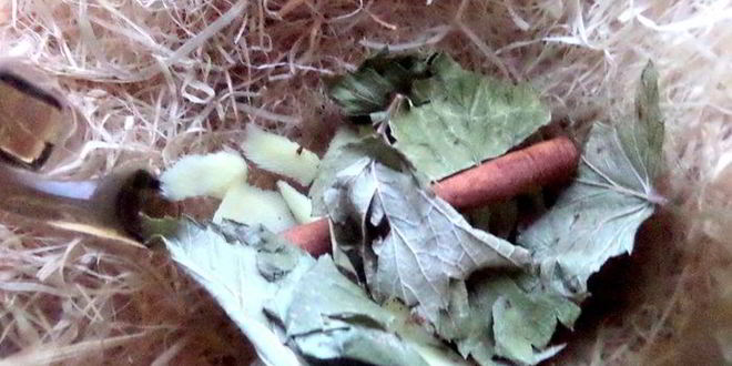 Рецепт согревающего чая со специями