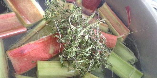 Рецепт киселя чабрец, ревень и малина