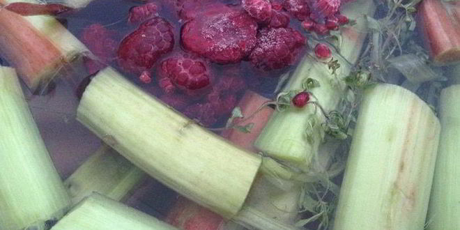 Рецепт киселя чабрец, ревень и малина