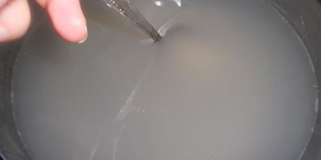 Рецепт киселя из ревеня