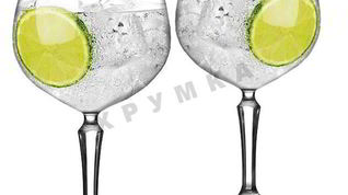 Рецепт Джина домашнего