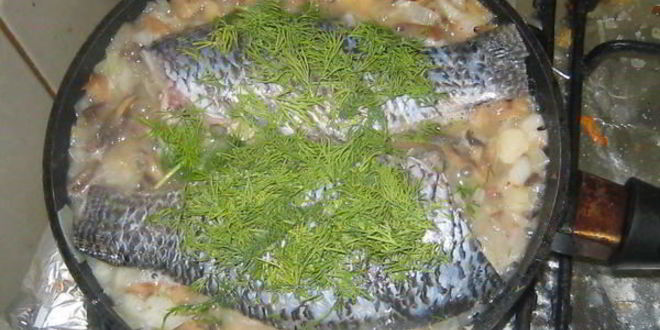 Рецепт рыбы в сливочном масле с вином и чесноком