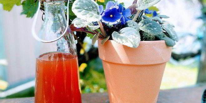 Рецепт коктейля для него и для нее