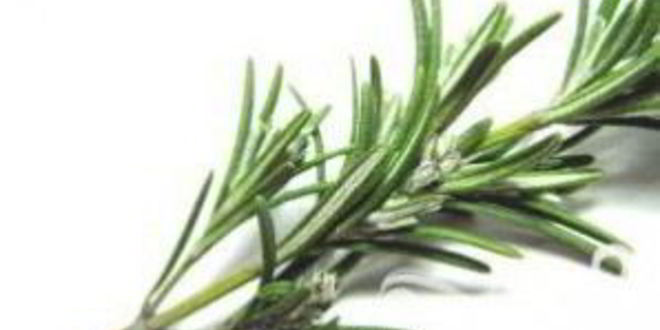 Рецепт коктейля с клюквой и розмарином