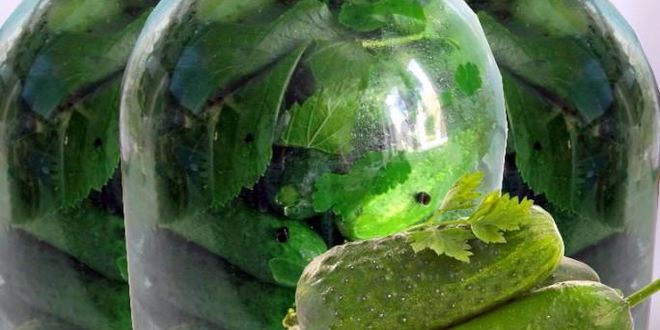 Рецепт Консервированных малосольных хрустящих огурцов с водкой