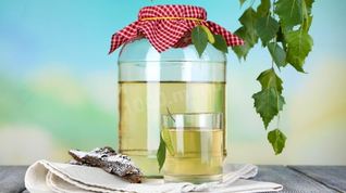 Рецепт Березового кваса с корой березы