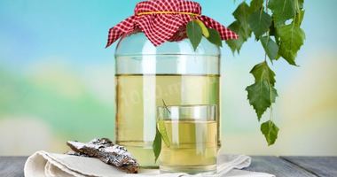 Рецепт Березового кваса с корой березы