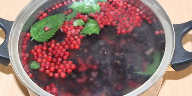 Рецепт домашнего кваса на смородине