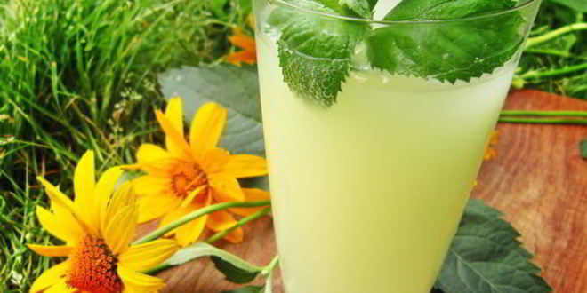 Рецепт Имбирного кваса — Дзыдзыбиры