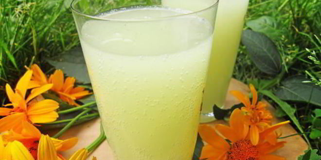 Рецепт имбирного кваса — дзыдзыбиры