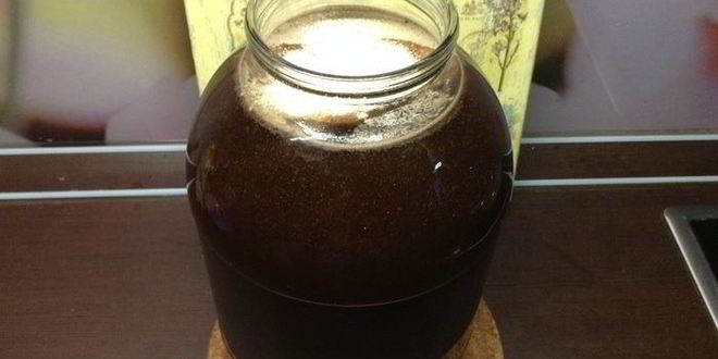 Рецепт кваса для настроения велкам ту шамбала