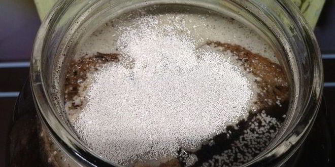 Рецепт кваса для настроения велкам ту шамбала