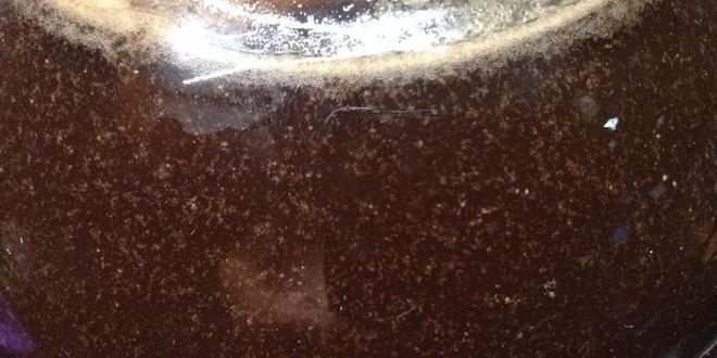 Рецепт кваса для настроения велкам ту шамбала