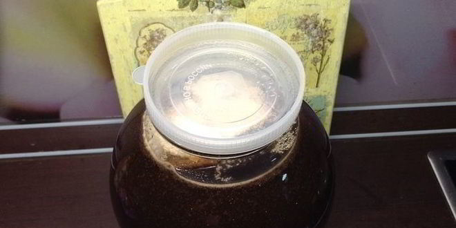 Рецепт кваса для настроения велкам ту шамбала