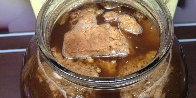 Рецепт кваса для настроения велкам ту шамбала