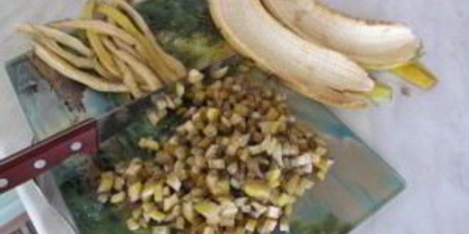 Рецепт кваса из банановой кожуры