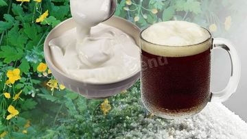 Рецепт Кваса из чистотела